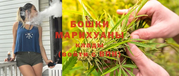 гидра Кукмор